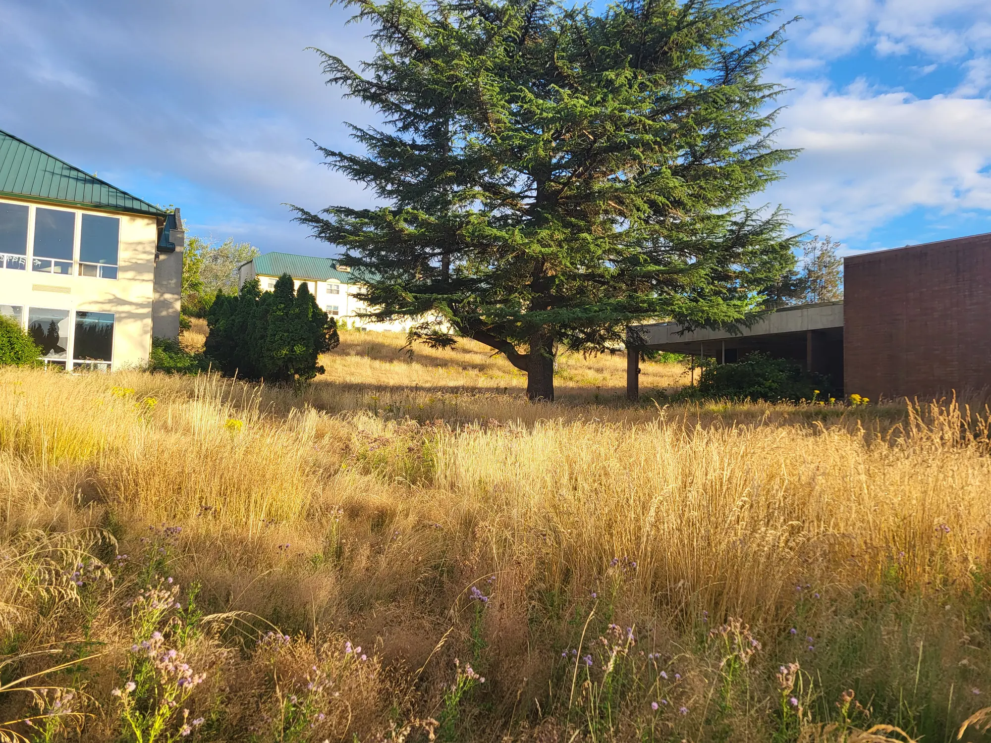 Current outdoor view of the preferred property